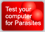 Test your computer for Parasites